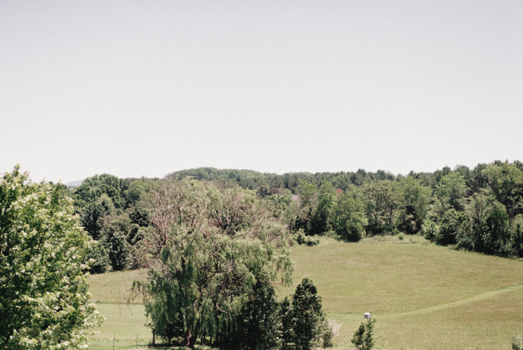 Waynesboro va summer wedding 35mm film anna greyson photo