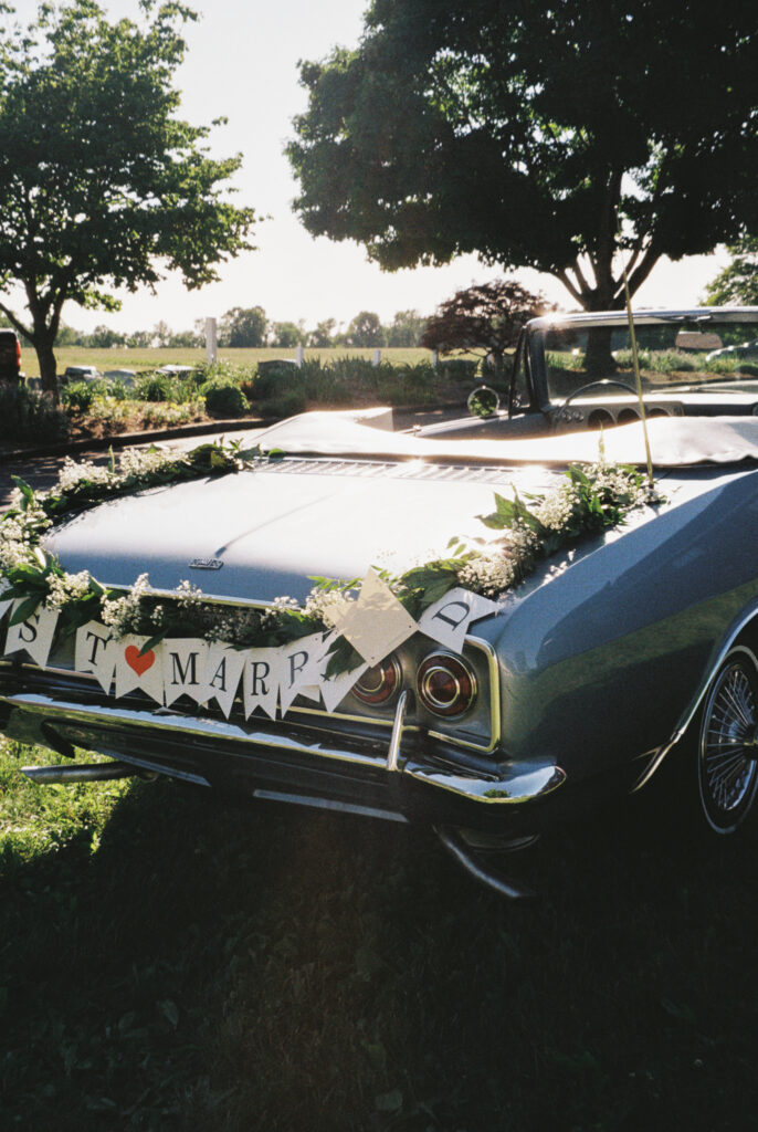 Waynesboro va summer wedding 35mm film anna greyson photo